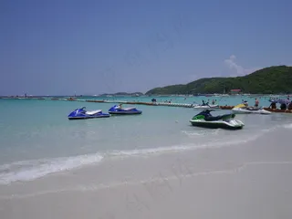 金沙岛 海滩图片