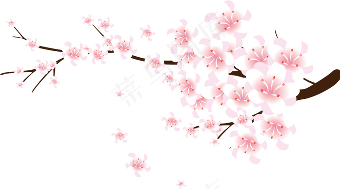 桃花 桃花树枝 手绘桃花