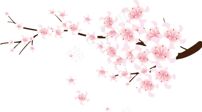 桃花 桃花树枝 手绘桃花psd模版下载