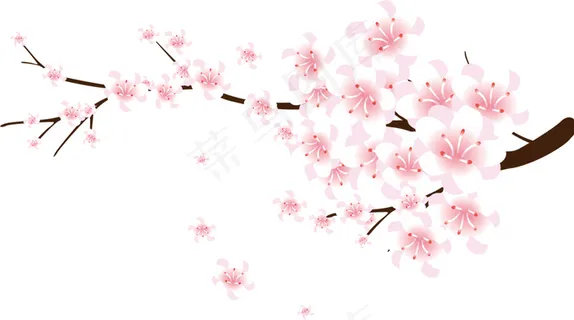 桃花 桃花树枝 手绘桃花 桃花 桃花树枝 手绘桃花