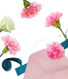 康乃馨信封 康乃馨