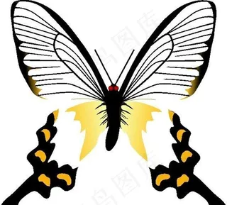 蝴蝶 昆虫 缤纷彩蝶 矢量动物 卡...