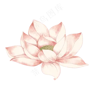 手绘水墨唯美荷花PNG素材,免抠元素