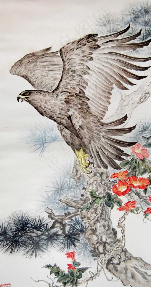 国画老鹰图片