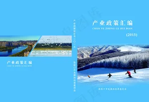 书皮