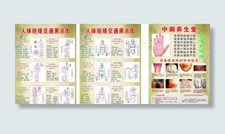 人体经络图图片