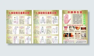 人体经络图图片
