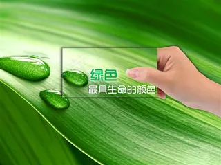 绿色大自然ppt模板