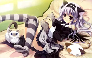 猫咪少女