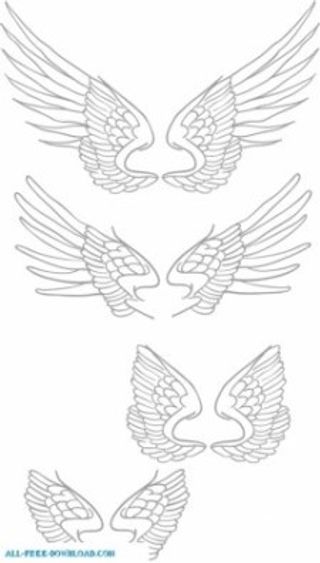 自由手绘矢量翅膀