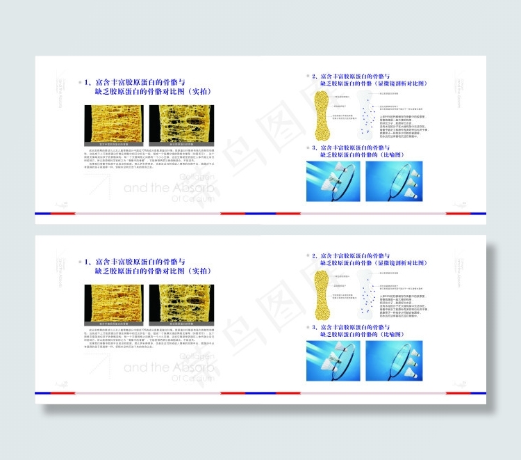 康麦国际鲨鱼博士宣传画册