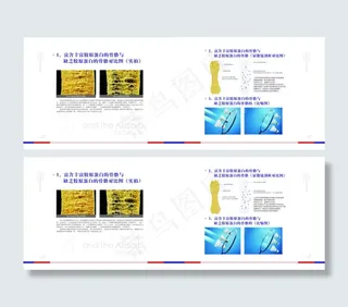 康麦国际鲨鱼博士宣传画册