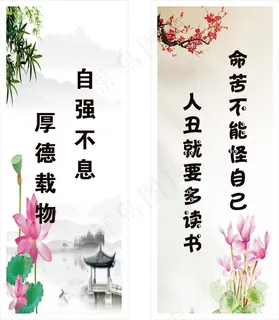荷花梅花 荷花梅花