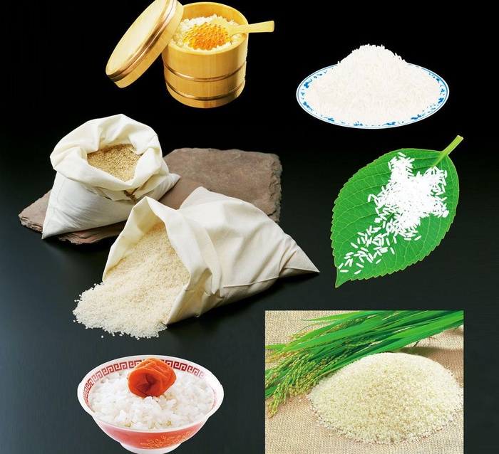 大米素材图片