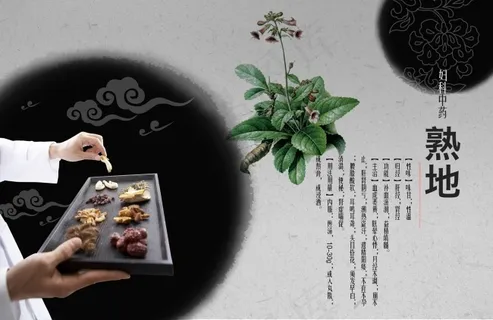中草药熟地展板设计