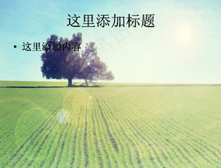 电脑高清ppt封面路在脚下风景图...