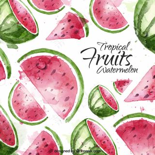 水彩弹簧仙人掌图