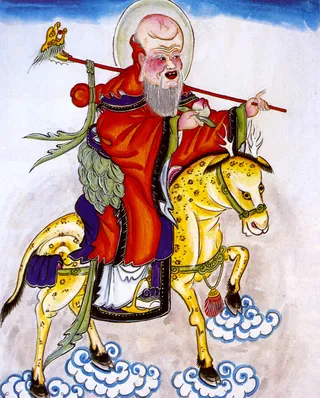 上八仙 南极星图片