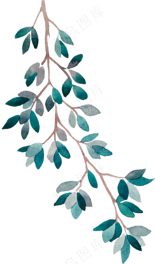 彩绘一株叶子png透明素材