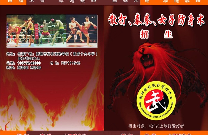 武术 散打 泰拳 女子防身术图片cdr矢量模版下载