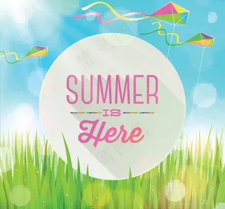 夏日背景 绿滩图片