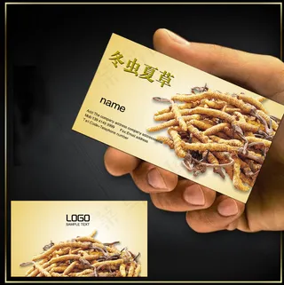 冬虫夏草名片模板