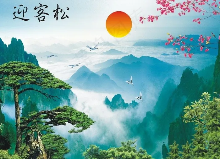 迎客松图片cdr矢量模版下载