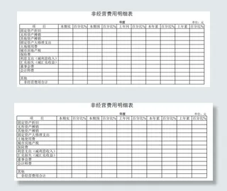 非经营费用明细表