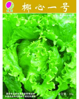 蔬菜种子包装分层图图片