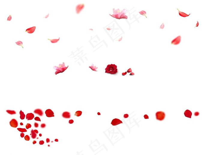 花瓣素材图片