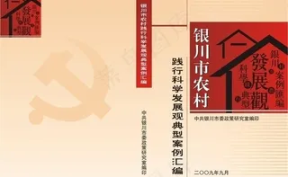 银川市农村践行科学发展观典型案例汇...