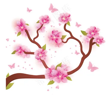 樱花 手绘樱花 樱花枝条