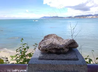 珊瑚 海 蓝天 石头