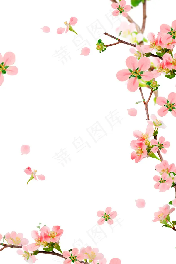 桃花边框底图psd模版下载