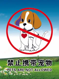 禁止携带宠物