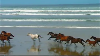 晚会LED动态大屏素材下载