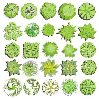 森林食品无污染新鲜绿色植物水果绿色...