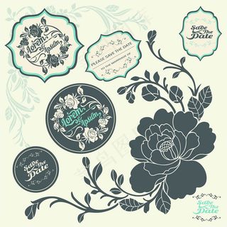 牡丹花植物花纹矢量素材