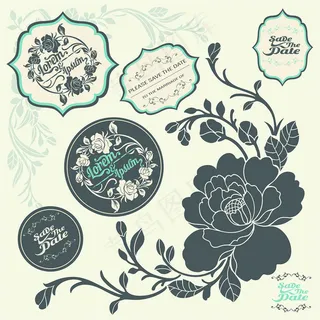 牡丹花植物花纹矢量素材