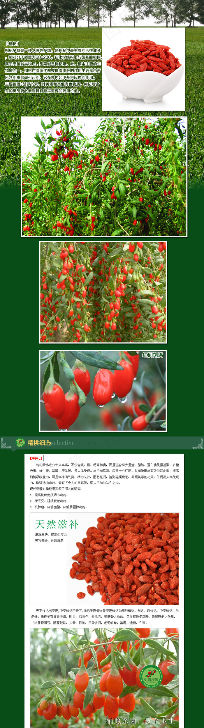 淘宝天猫详情页新疆特产枸杞药材(900X3200(DPI:72))psd模版下载