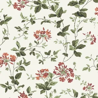 Austrian curtain... Austrian curtain...