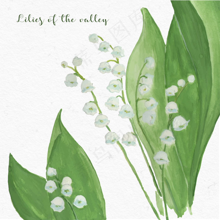 绿色背景矢量图