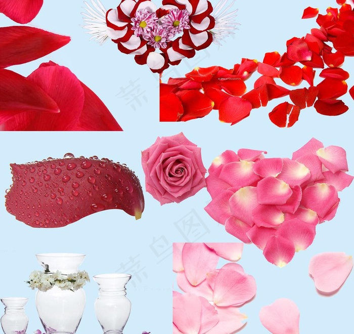 花瓣素材图片