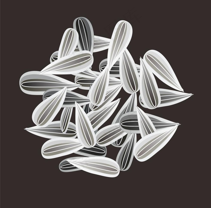 瓜子图片