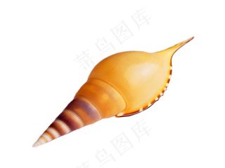 海螺免抠素材PSD分层