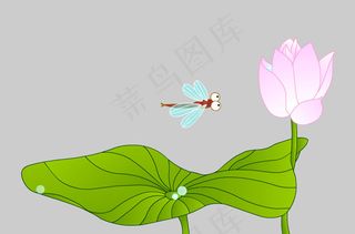 水滴在莲花上flash