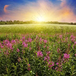 {唯美风景}高清图片