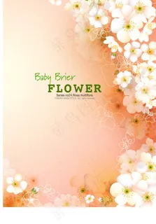 花纹 花边 底纹