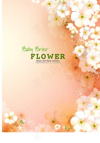 花纹 花边 底纹