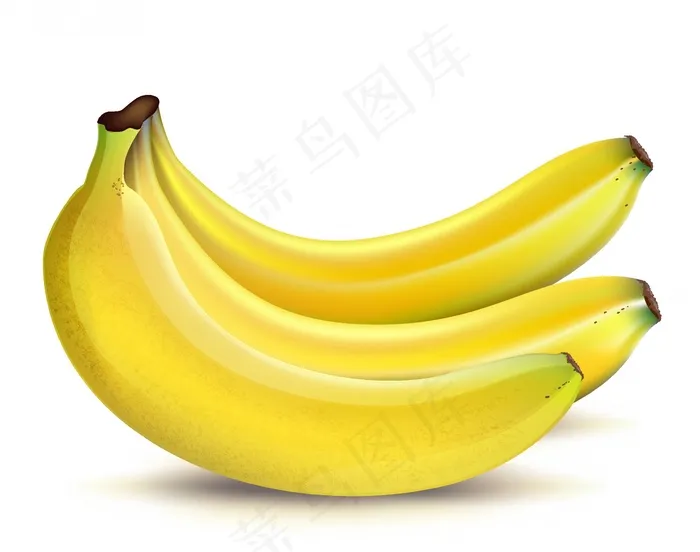 成熟的香蕉ai矢量模版下载